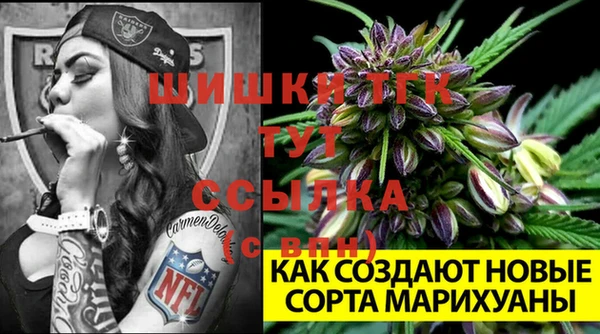 мет Пересвет
