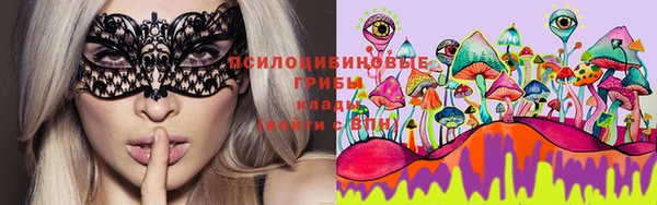 мет Пересвет
