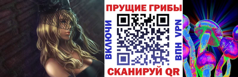 Псилоцибиновые грибы Magic Shrooms где купить наркотик Баксан