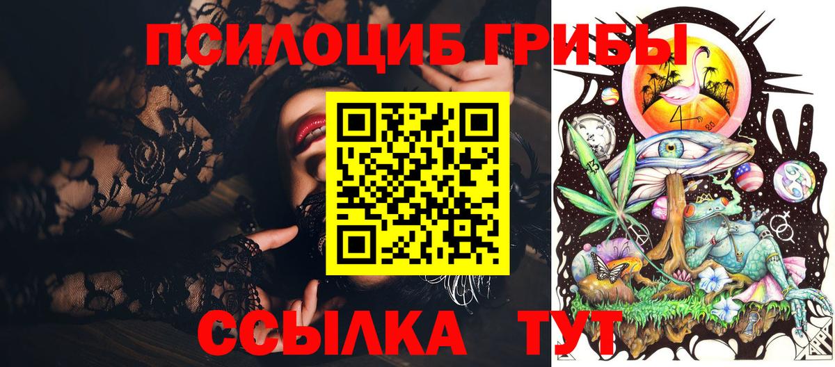 Галлюциногенные грибы MAGIC MUSHROOMS  Вход с VPN  Баксан 