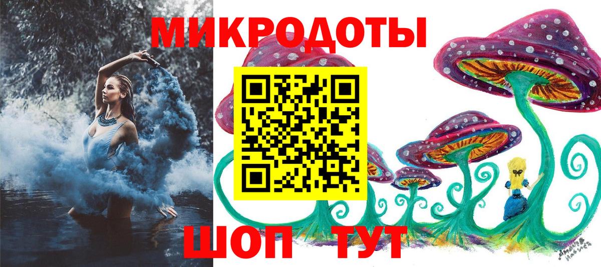 Псилоцибиновые грибы Psilocybine cubensis  Баксан 