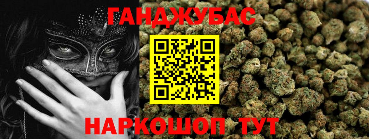 Марихуана сатива Баксан