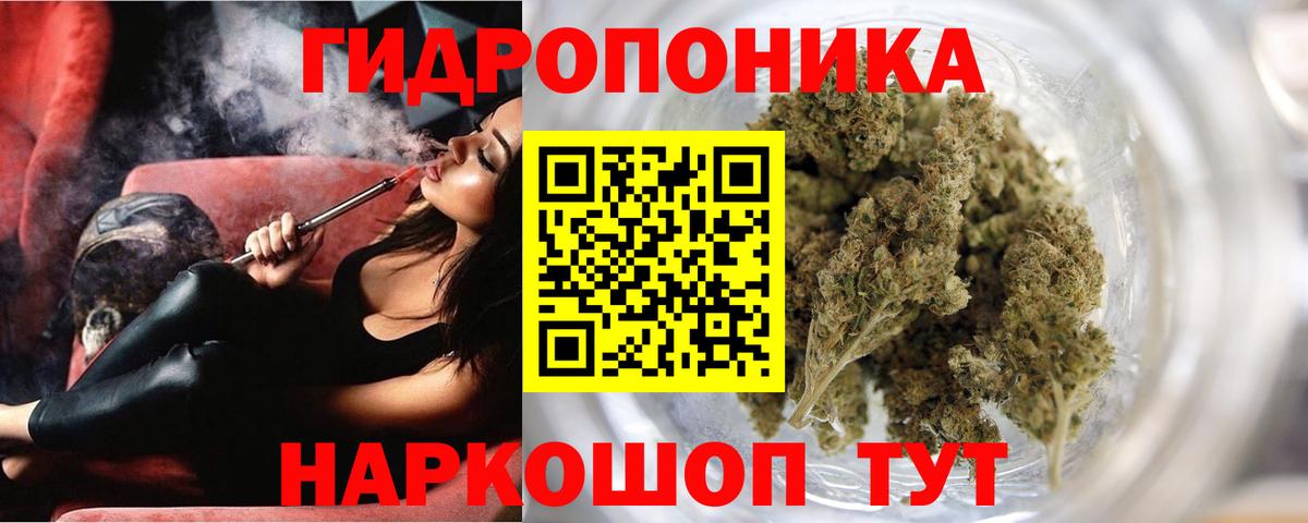 Каннабис тримм  Вход с VPN  Баксан  Канабис OG Kush 